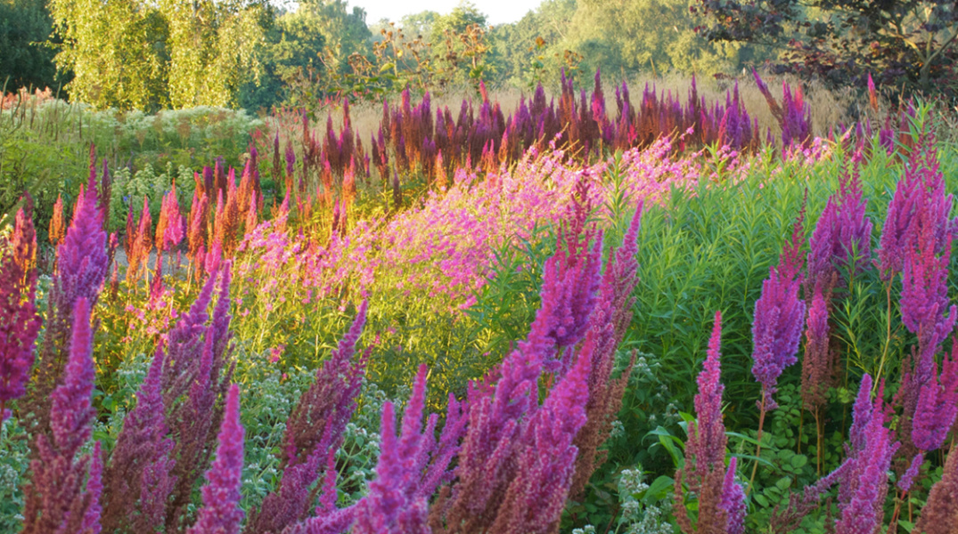 Hauser & Wirth Somerset Opens 15 July 2014